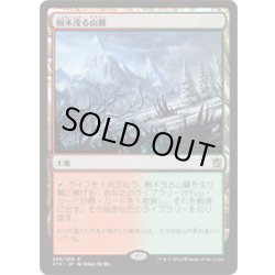 画像1: 【JPN】樹木茂る山麓/Wooded Foothills[MTG_KTK_249R]