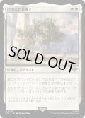【JPN】白の木に花開く/Flowering of the White Tree[MTG_LTR_0015R]