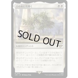 画像1: 【JPN】白の木に花開く/Flowering of the White Tree[MTG_LTR_0015R]