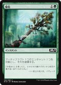 【JPN】帰化/Naturalize[MTG_M19_190C]