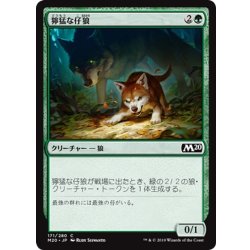 画像1: 【JPN】獰猛な仔狼/Ferocious Pup[MTG_M20_171C]