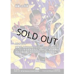 画像1: 【JPN】似通った生命/Parallel Lives[MTG_MAR_0036_M]