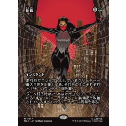画像1: 【JPN】★Foil★絹鎧/Silkguard[MTG_MAR_0037_M]