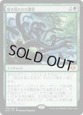 【JPN】解き放たれた繁栄/Unbound Flourishing[MTG_MH1_189M]