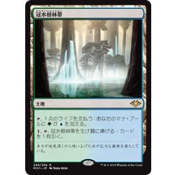 画像1: 【JPN】冠水樹林帯/Waterlogged Grove[MTG_MH1_249R]