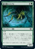 【JPN】★Foil★漏斗網のイトグモ/Funnel-Web Recluse[MTG_MH2_161C]