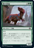 【JPN】★Foil★都の短剣歯/Urban Daggertooth[MTG_MH2_181C]