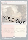 【JPN】乾燥台地/Arid Mesa[MTG_MH2_244R]