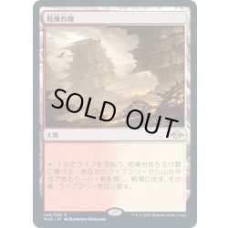 画像1: 【JPN】乾燥台地/Arid Mesa[MTG_MH2_244R]