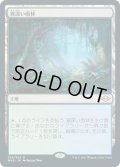 【JPN】霧深い雨林/Misty Rainforest[MTG_MH2_250R]