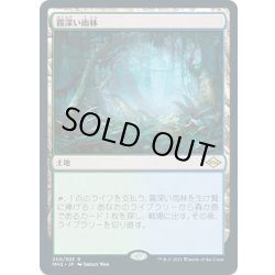 画像1: 【JPN】霧深い雨林/Misty Rainforest[MTG_MH2_250R]