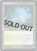 【JPN】★エッチングFoil★霧深い雨林/Misty Rainforest[MTG_MH2_438R]