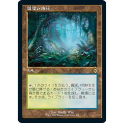 画像1: 【JPN】★エッチングFoil★霧深い雨林/Misty Rainforest[MTG_MH2_438R]