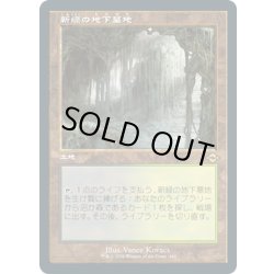 画像1: 【JPN】★エッチングFoil★新緑の地下墓地/Verdant Catacombs[MTG_MH2_440R]