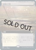 【JPN】★Foil★湿地の干潟/Marsh Flats[MTG_MH2_476R]