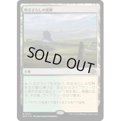 画像1: 【JPN】吹きさらしの荒野/Windswept Heath[MTG_MH3_0235_R]