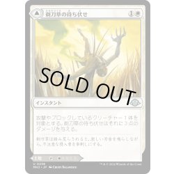 画像1: 【JPN】剃刀草の待ち伏せ//剃刀草の原野/Razorgrass Ambush//Razorgrass Field[MTG_MH3_0238_U]