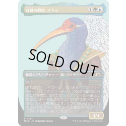 画像1: 【JPN】有翼の叡智、ナドゥ/Nadu, Winged Wisdom[MTG_MH3_0377_R]