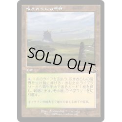 画像1: 【JPN】吹きさらしの荒野/Windswept Heath[MTG_MH3_0440_R]