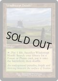【ENG】吹きさらしの荒野/Windswept Heath[MTG_MH3_0440_R]