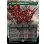 画像1: 【ENG】★textured foil★大食の幼生、グリスト//疫病の群れ、グリスト/Grist, Voracious Larva//Grist, the Plague Swarm[MTG_MH3_0472_M] (1)