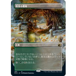 画像1: 【JPN】草茂る農地/Overgrown Farmland[MTG_MID_283R]