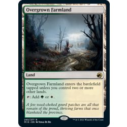 画像1: 【ENG】草茂る農地/Overgrown Farmland[MTG_MID_265R]