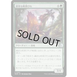 画像1: 【JPN】★Foil★貪欲な帆背びれ/Ravenous Sailback[MTG_MOM_0202U]