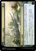 【JPN】パイルリーへの侵攻//巨大な板岩角/Invasion of Pyrulea//Gargantuan Slabhorn[MTG_MOM_0240U]