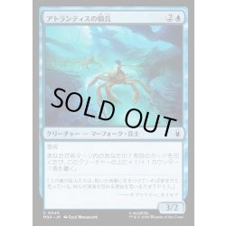 画像1: 【JPN】アトランティスの騎兵/Atlantean Cavalry[MTG_MSH_0045_C]