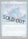 【JPN】卓越した観察眼、エコー/Echo, Perceptive Prodigy[MTG_MSH_0051_U]