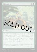 【JPN】回復の奥義/Restorative Technique[MTG_MSH_0183_C]