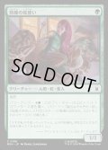 【JPN】熟練の蛇使い/Serpent Specialist[MTG_MSH_0186_C]