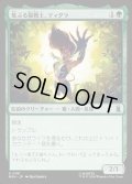 【JPN】荒ぶる猫戦士、ティグラ/Tigra, Feline Fury[MTG_MSH_0191_U]
