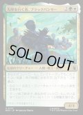 【JPN】先陣を行く者、ブラックパンサー/Black Panther, Vanguard[MTG_MSH_0207_U]