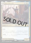 【JPN】ティ・チャラ王//揺るがぬ希望、ブラックパンサー/King T'Challa//Black Pancer, Hope Enduring[MTG_MSH_0219_M]