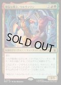 【JPN】獰猛な戦士、ウルヴァリン/Wolverine, Fierce Fighter[MTG_MSH_0240_R]