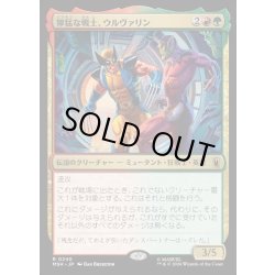 画像1: 【JPN】獰猛な戦士、ウルヴァリン/Wolverine, Fierce Fighter[MTG_MSH_0240_R]