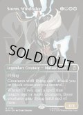【ENG】ウィンドライダー、ストーム/Storm, Windrider[MTG_MSH_0375_R]