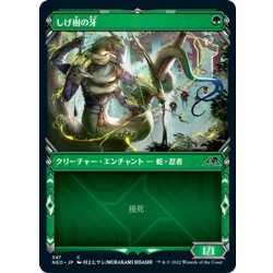 画像1: 【JPN】しげ樹の牙/Fang of Shigeki[MTG_NEO_347C]