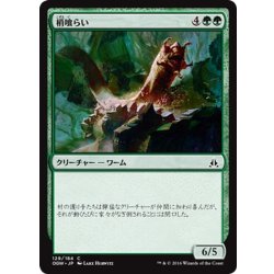 画像1: 【JPN】梢喰らい/Canopy Gorger[MTG_OGW_129C]