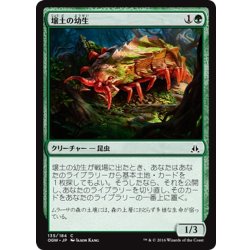 画像1: 【JPN】壌土の幼生/Loam Larva[MTG_OGW_135C]