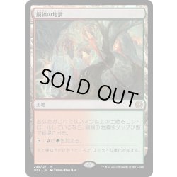 画像1: 【JPN】銅線の地溝/Copperline Gorge[MTG_ONE_249R]