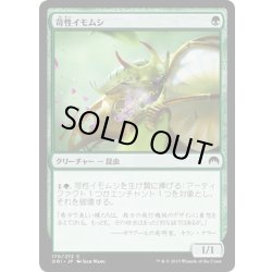 画像1: 【JPN】苛性イモムシ/Caustic Caterpillar[MTG_ORI_170C]