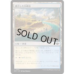 画像1: 【JPN】孤立した小峡谷/Lonely Arroyo[MTG_OTJ_0260_C]