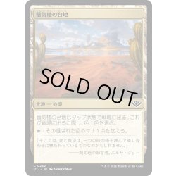 画像1: 【JPN】蜃気楼の台地/Mirage Mesa[MTG_OTJ_0262_C]