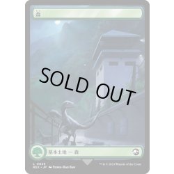 画像2: 【JPN】森/Forest[MTG_REX_0025L]