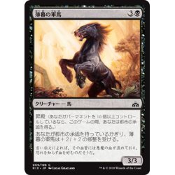 画像1: 【JPN】薄暮の軍馬/Dusk Charger[RIX_069C]