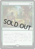 【JPN】発見の道/Path of Discovery[RIX_142R]