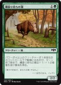 【JPN】縄張り持ちの猪/Territorial Boar[MTG_RNA_145C]